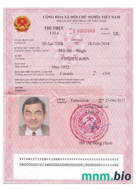 Viet Nam visa version 2